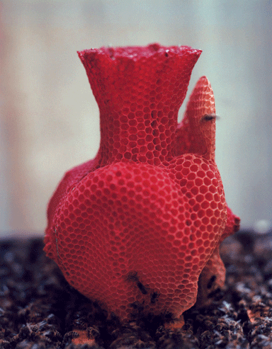 Honeycomb Vase 2006