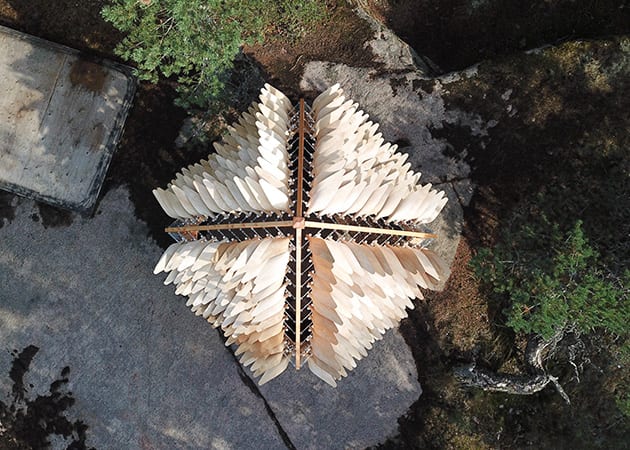 birds eye view of wooden sculpture in forest - iconeye.com