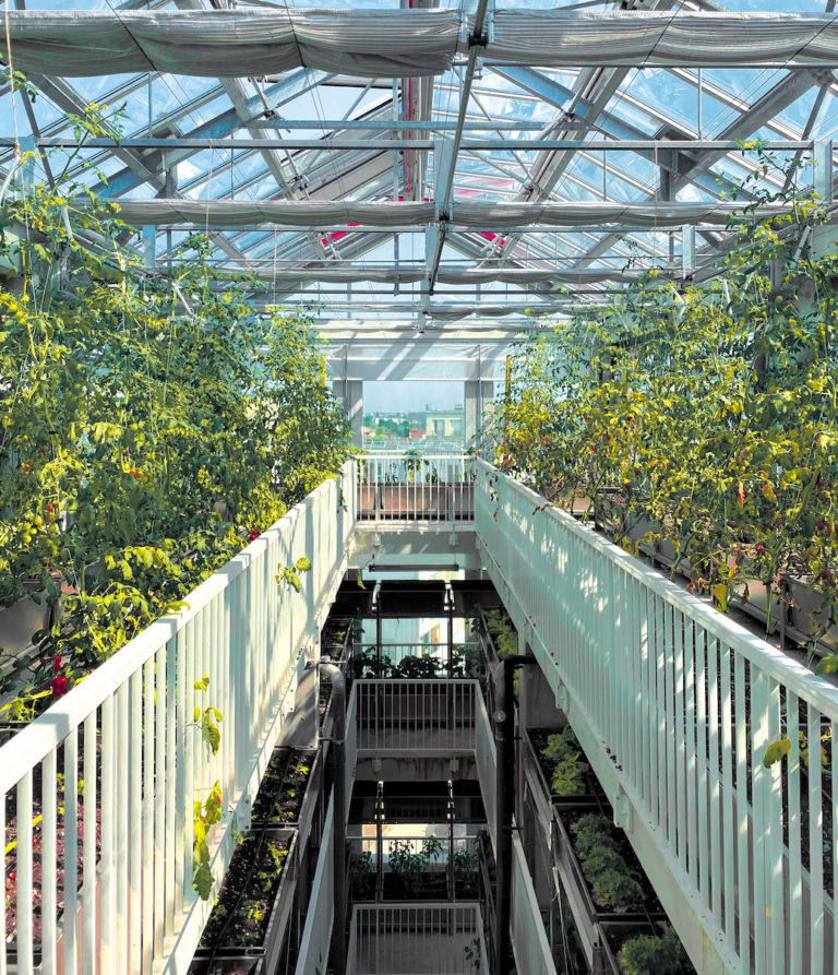 Highrise greenhouses open in Paris suburbs ICON Magazine