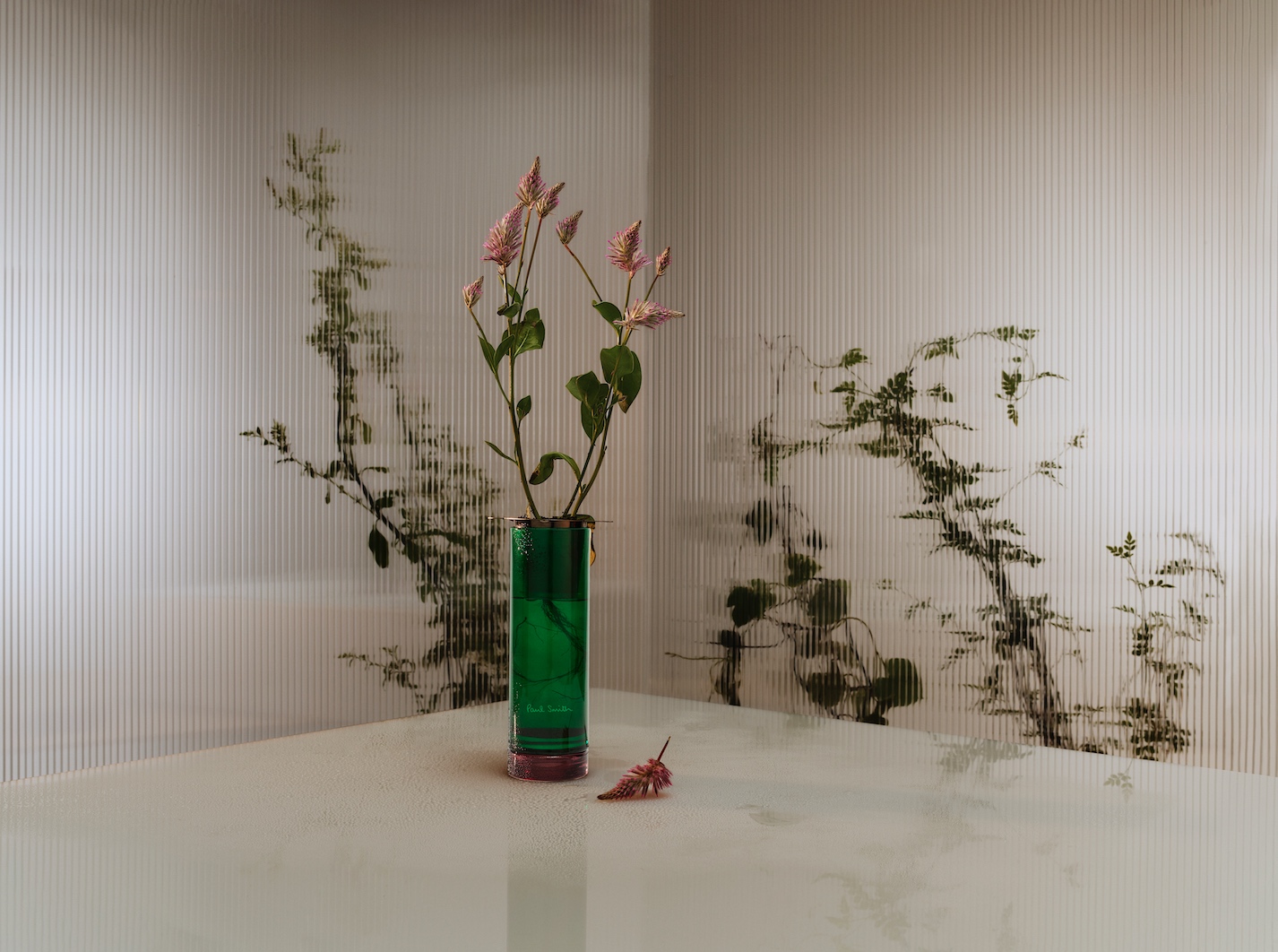 Paul Smith Home Collection vase diffuser